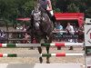 jumper Cristo 28 (Hanoverian, 2009, from Cornado NRW)