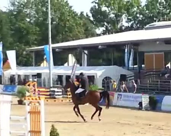 Video of Cedric N