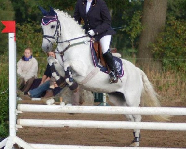 broodmare Isy Jumper (Welsh-Pony (Section B), 1994, from Copper)