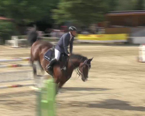 Video of Now Jump