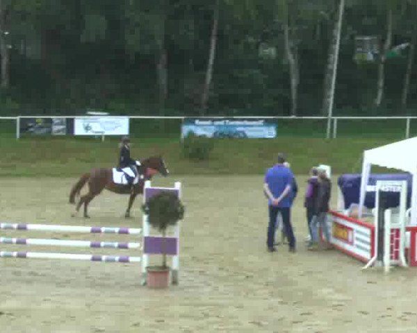 Video of Dorina