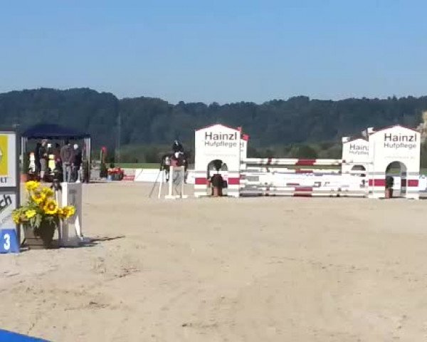 Video of Quidam's Prinz F