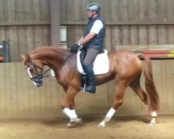 Video of Duchesse