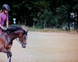 dressage horse Noemi (unknown, 2001)