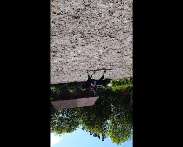 Video of Addison