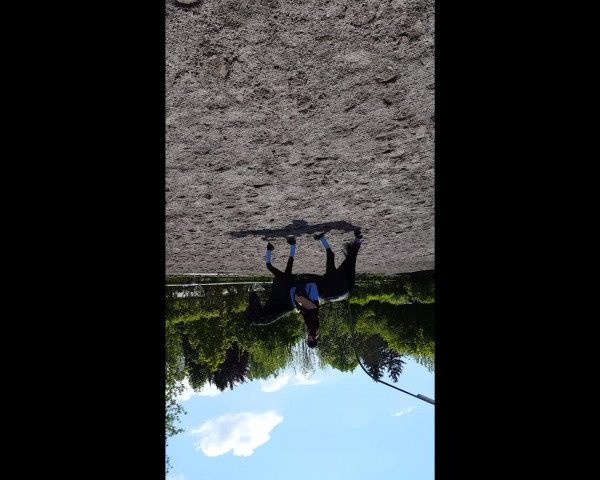 Video of Addison