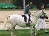 broodmare Three-B Auryn (Welsh mountain pony (SEK.A), 1986, from Wynswood Little Acorn)