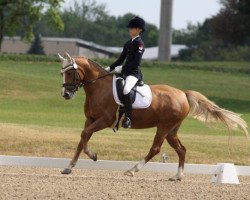 dressage horse Catwalk's Prima Ballerina (German Riding Pony, 2004, from Cocky Man)