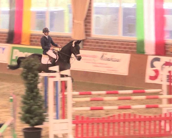 Rosendorf Classics 2016 Seppenrade