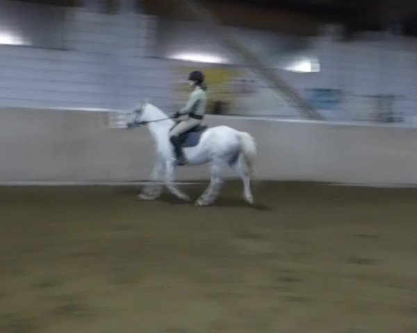 Video of Morena
