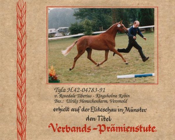 broodmare Tyla (German Riding Pony, 1991, from Rosedale Tiberius)