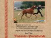 Zuchtstute Tyla (Deutsches Reitpony, 1991, von Rosedale Tiberius)