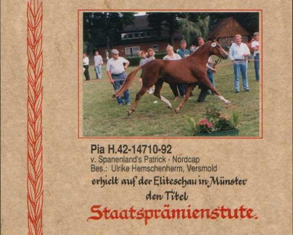 broodmare Pia (German Riding Pony, 1992, from Spanenland's Patrick)