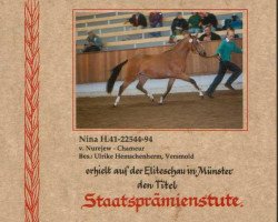 broodmare Nina (Westphalian, 1994, from Nurejew)