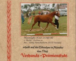 broodmare Moonlight (German Riding Pony, 1990, from Merlin)