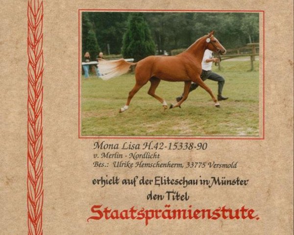 broodmare Mona Lisa (German Riding Pony, 1990, from Merlin)