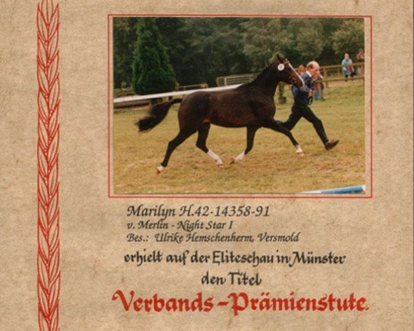 broodmare Marilyn (German Riding Pony, 1991, from Merlin)