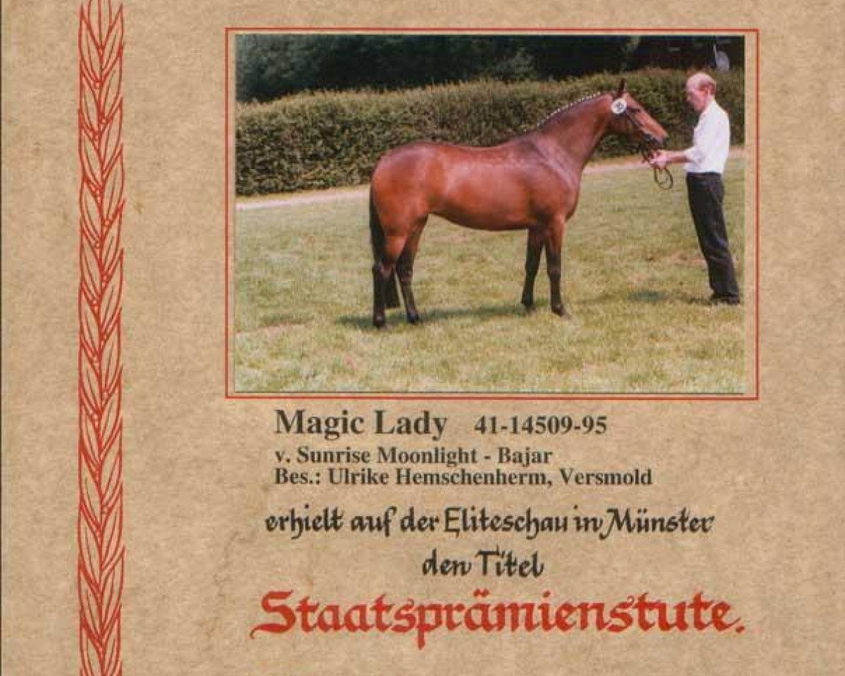 Zuchtstute Magic Lady (Deutsches Reitpony, 1995, von Sunrise Moonlight)