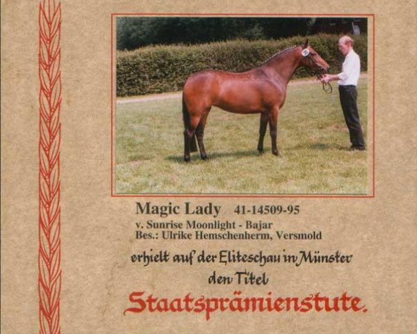 broodmare Magic Lady (German Riding Pony, 1995, from Sunrise Moonlight)