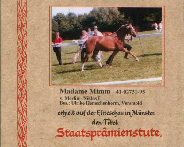 broodmare Madame Mimm (German Riding Pony, 1995, from Merlin)