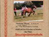 broodmare Madame Mimm (German Riding Pony, 1995, from Merlin)