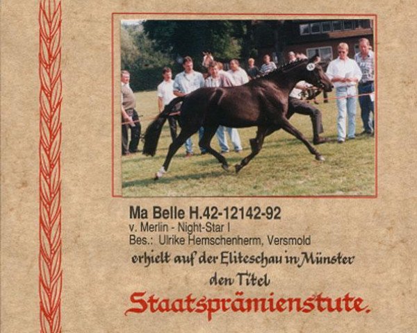broodmare Ma Belle (German Riding Pony, 1992, from Merlin)