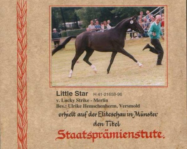 broodmare Little Star (German Riding Pony, 1996, from Lucky Strike)