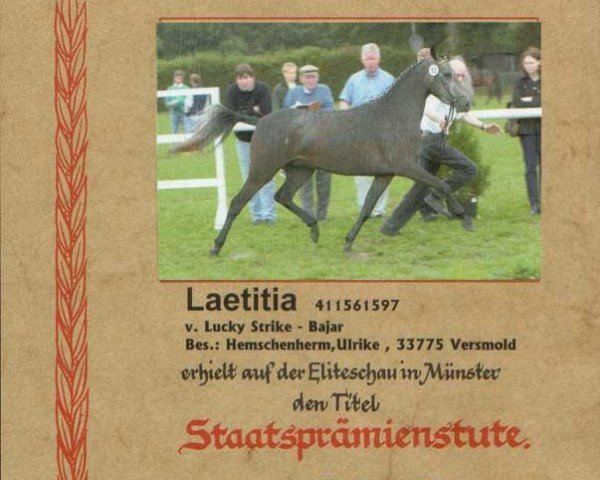 Springpferd Letitia (Deutsches Reitpony,  , von Lucky Strike)