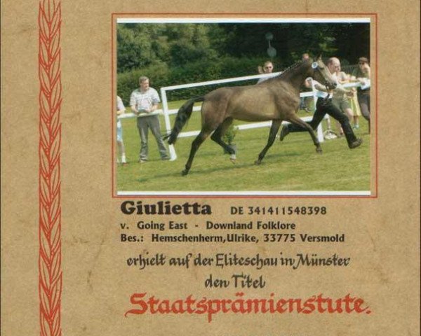 Zuchtstute Giulietta (Deutsches Reitpony, 1998, von Going East)