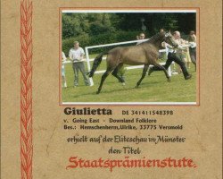 broodmare Giulietta (German Riding Pony, 1998, from Going East)