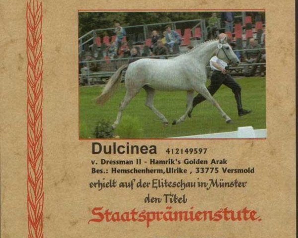 broodmare Dulcinea (Westphalian, 1997, from Dressman II)