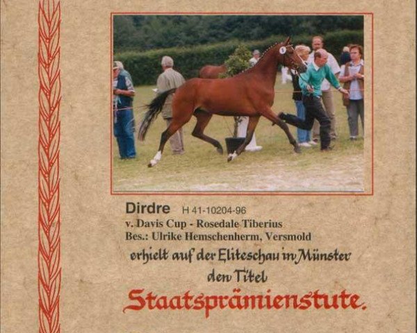 broodmare Deidre (German Riding Pony, 1996, from Davis Cup)