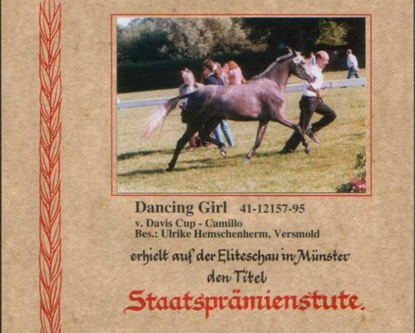 broodmare Dancing Girl (German Riding Pony, 1995, from Davis Cup)