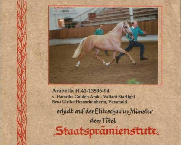 broodmare Arabella (German Riding Pony, 1994, from Hamrik's Golden Arak)