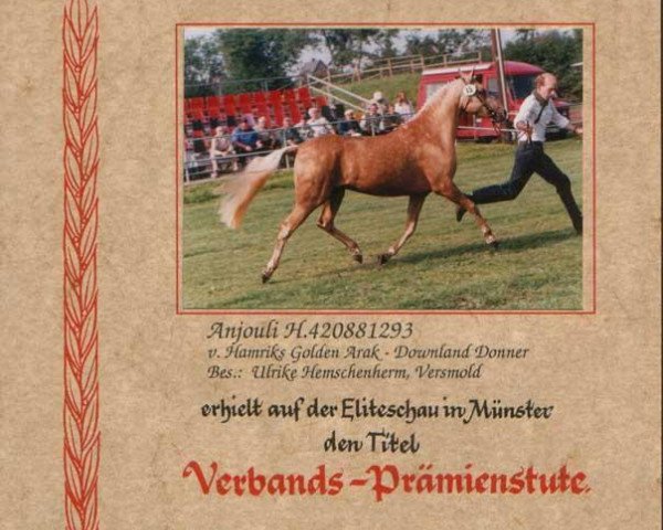 Zuchtstute Anjouli (Deutsches Reitpony, 1993, von Hamrik's Golden Arak)