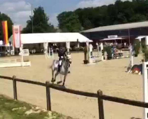 Video von Atlantis D