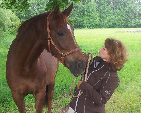 dressage horse Rasputin (Bavarian, 2003, from Rosso di Sera)