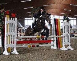 dressage horse National Velvet 2 (German Riding Pony, 2007, from Nabucco R)