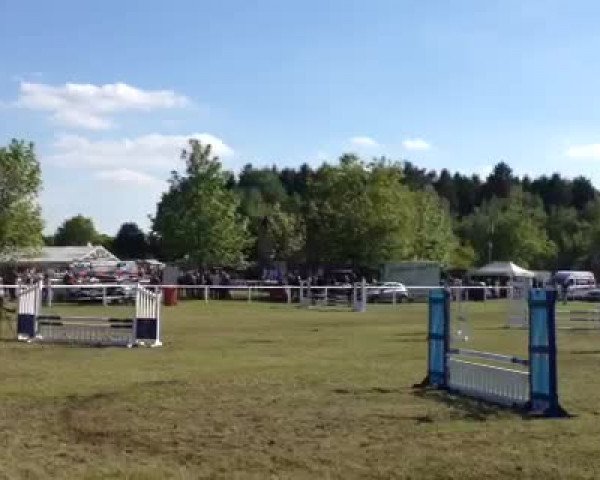 Video of Wahida W