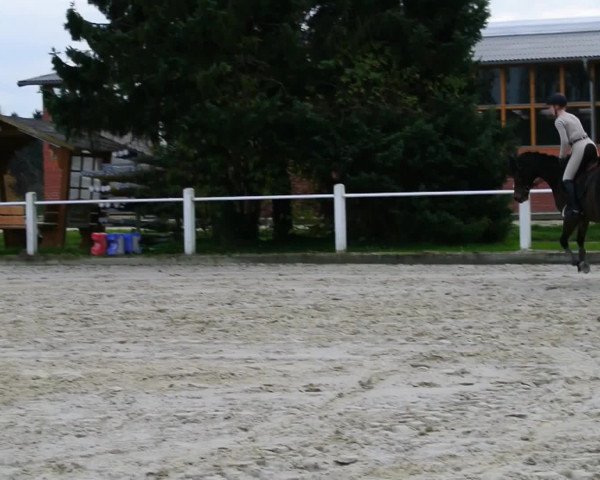 Video of Rubina Fleur