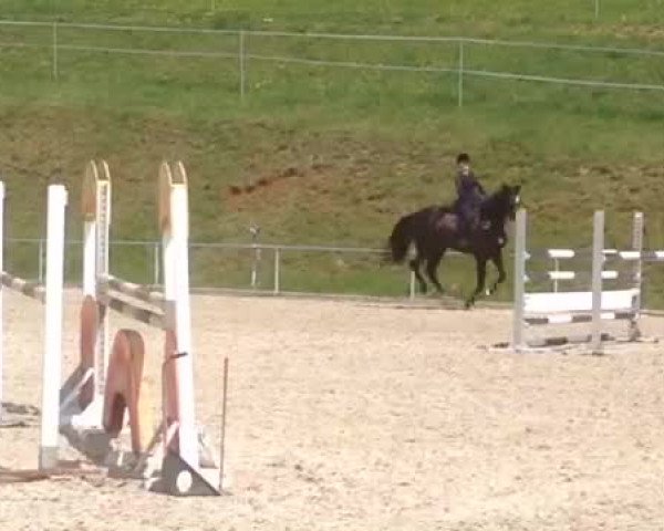 Video von Lapaloma 15