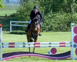 jumper Flying Joe (Hanoverian, 2008, from For Keeps)