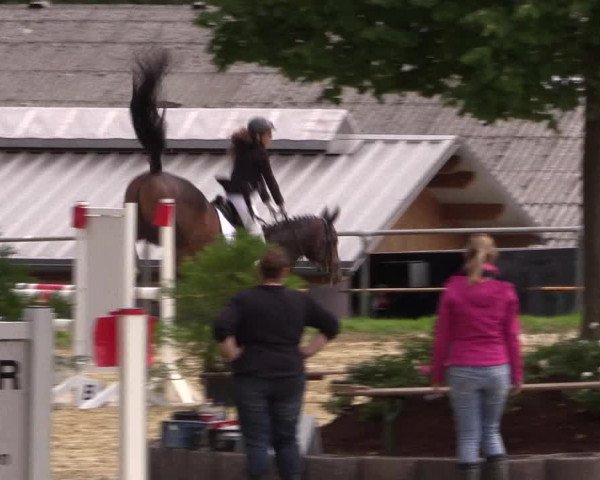 Reitturnier Bühren-Breckerfeld 2015