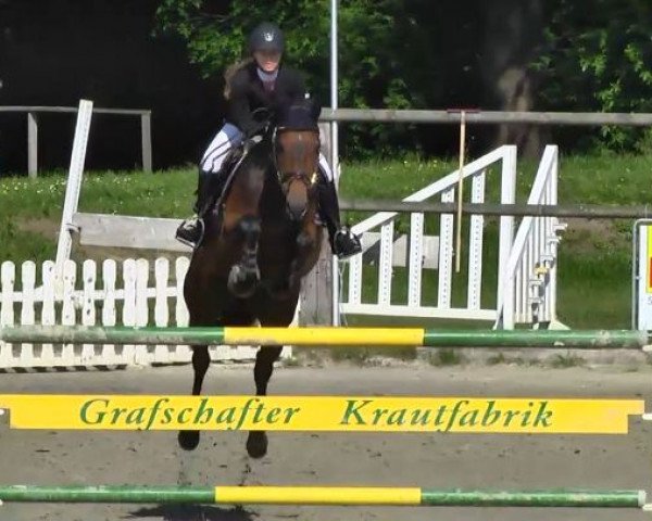 jumper Nina Ricci du Gibet (Luxembourg horse, 2007, from Nintender)