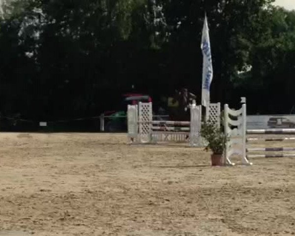 Video of Gräfin