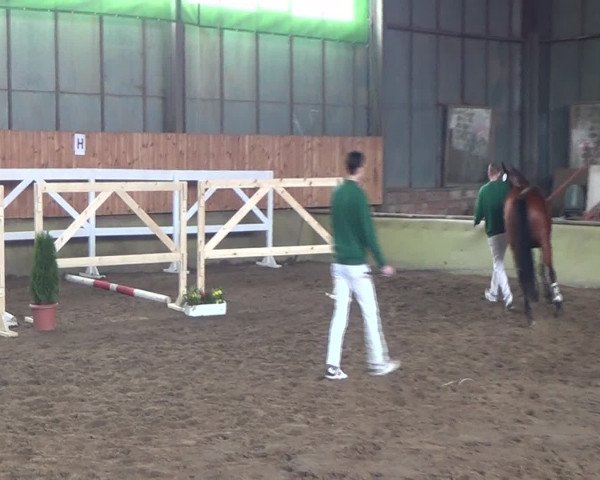 Video of Colata M