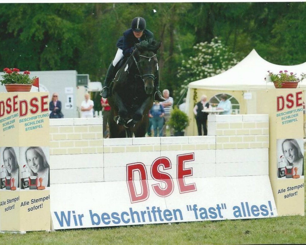 jumper Sir Othello La Silla (Sporthorse La Silla, 2002, from Portofino)