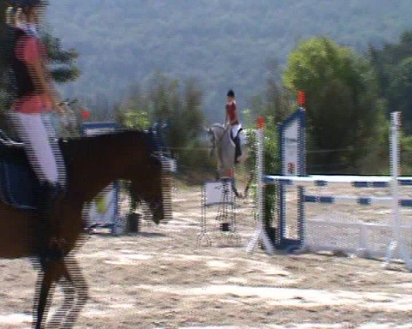 Video of Kia Ora