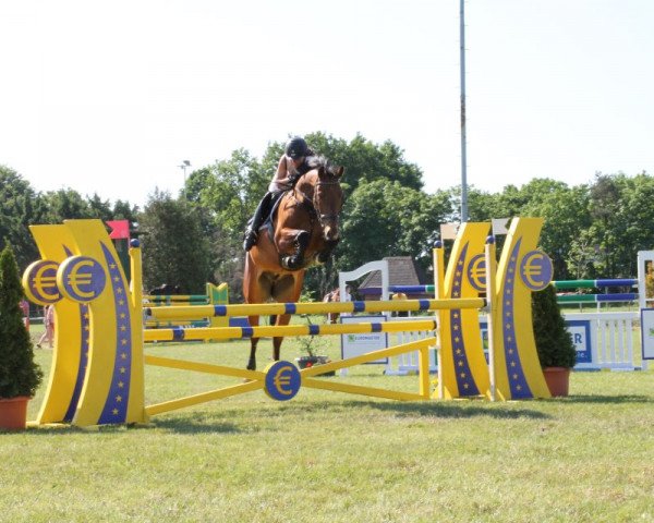 jumper Flying-Beauty 2 (Hanoverian, 2005, from Fighting Alpha)