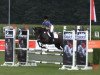 jumper Macando (German Riding Pony, 2008, from Montreal)